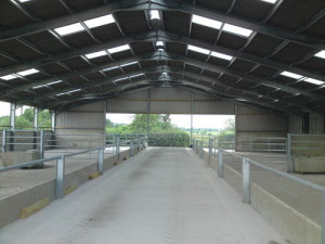 Equestrian Steel Framed Building - RNH Construction