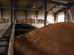 Grain Storage - RNH Construction